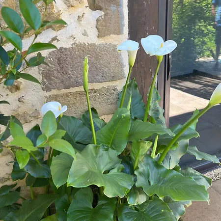 2, Domaine Logis Gascogne Tatil Evi