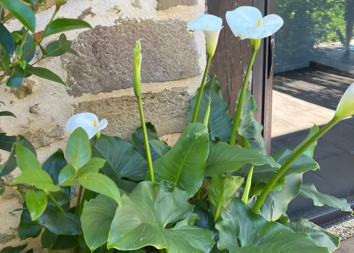 2, Domaine Logis Gascogne Casa de Férias